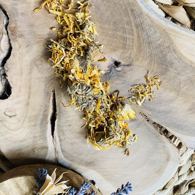 Marigold - Calendula