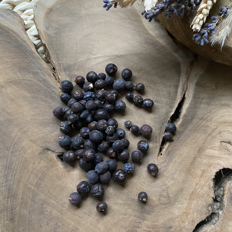 Discount Set - Plovdiv