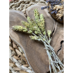 Discount set - Rila Mountains