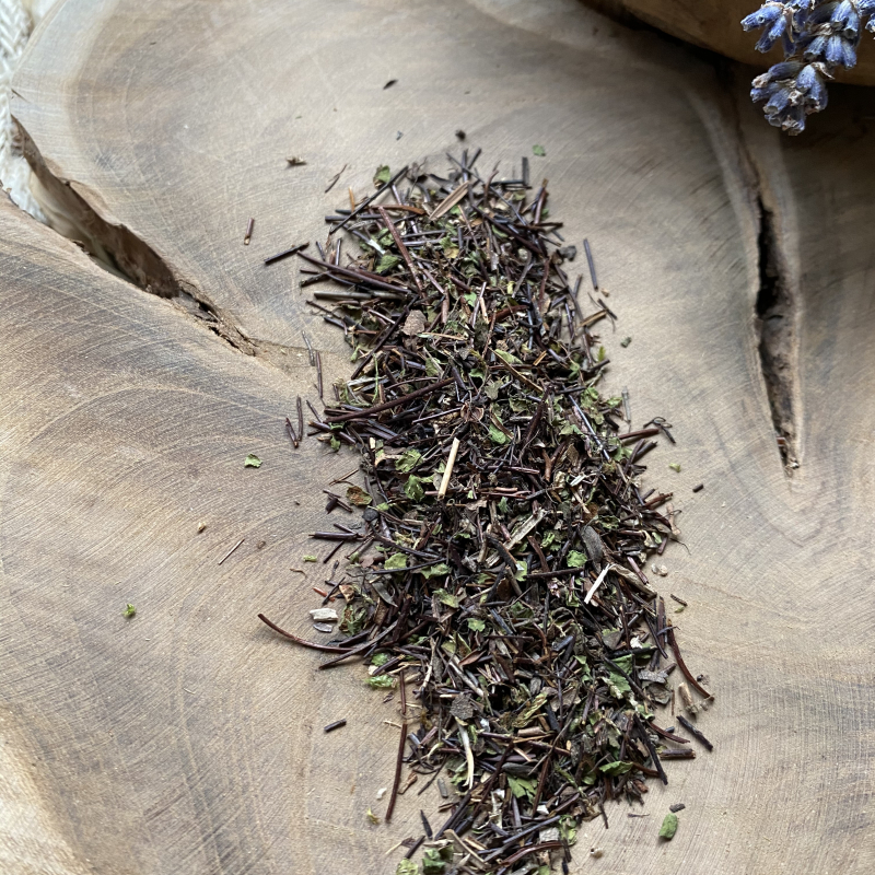 Maidenhair Spleenwort