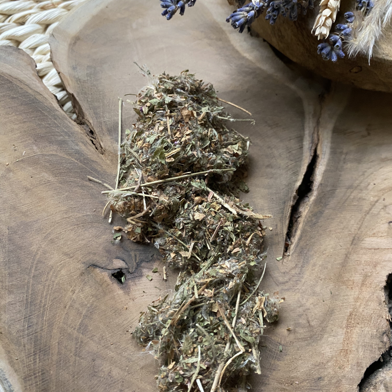  Smallflower Hairy Willowherb