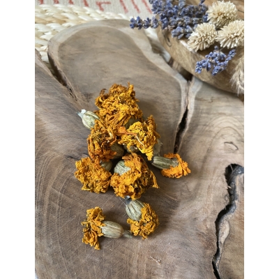 Afrikaantje -  Tagetes Erecta Afrikaantje -  Tagetes Erecta