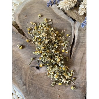 Chamomile Chamomile