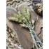 Discount set - Rila Mountains Discount set - Rila Mountains