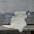 Lamsvel #11