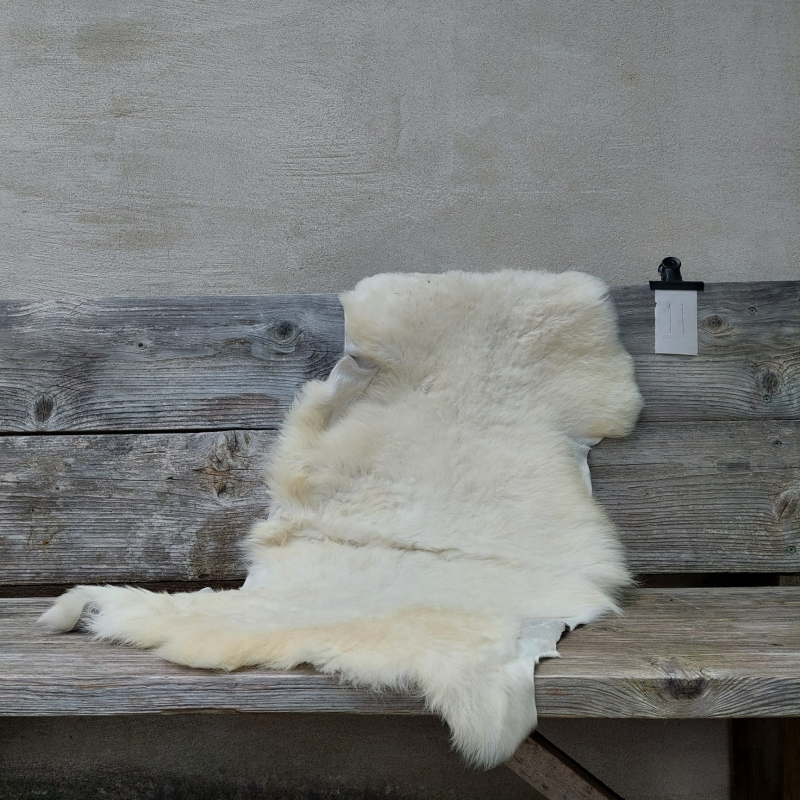 Lambskin #11
