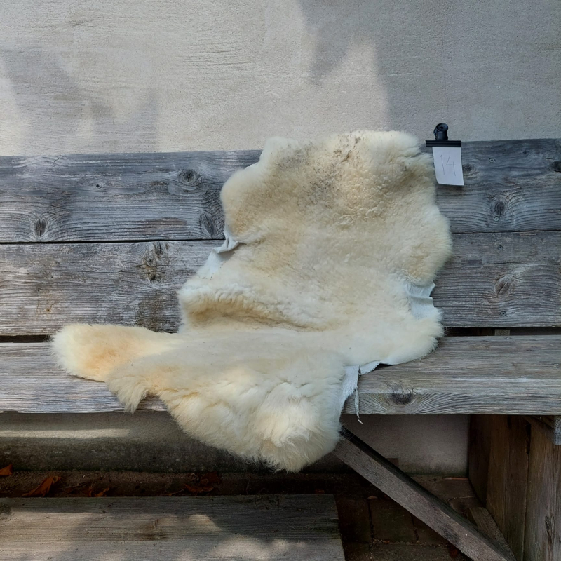 Lambskin #14