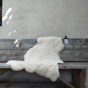 Lambskin #1