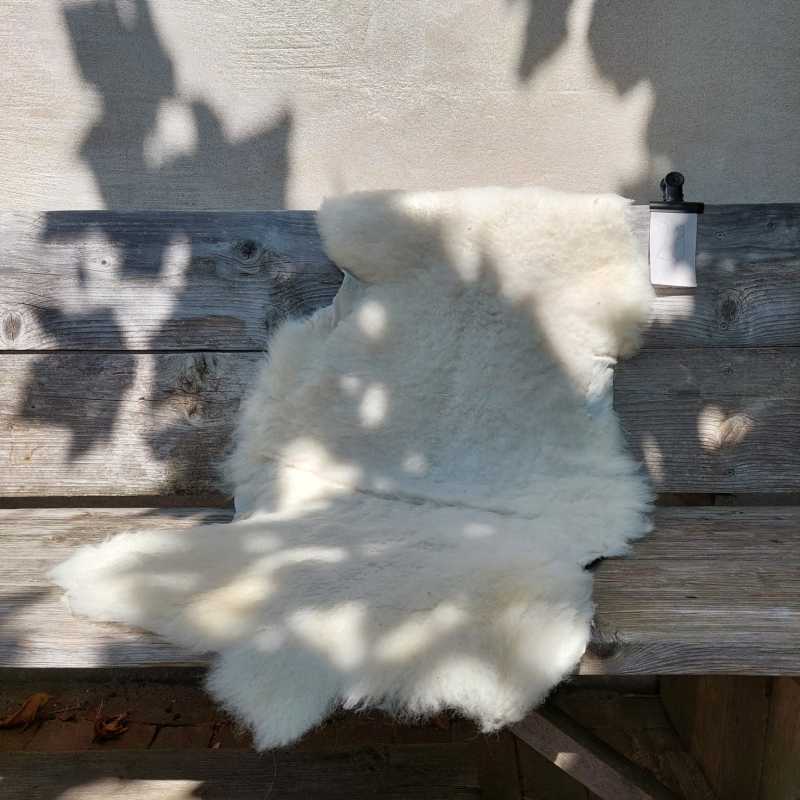 Lambskin #29