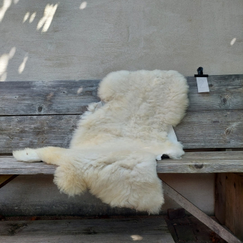 Lambskin #2