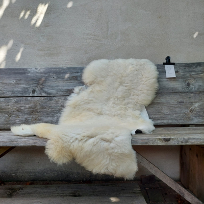 Lambskin #2