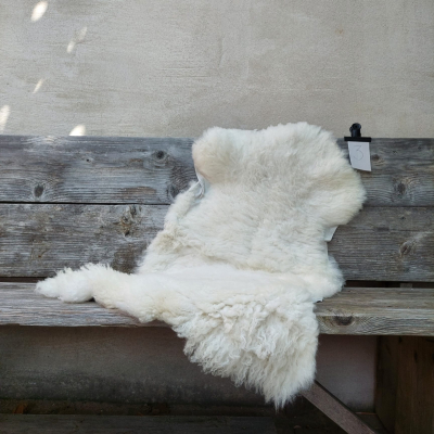 Lambskin #3