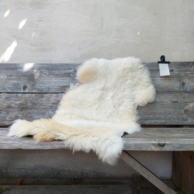 Lambskin #4