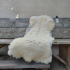 Lambskin #7